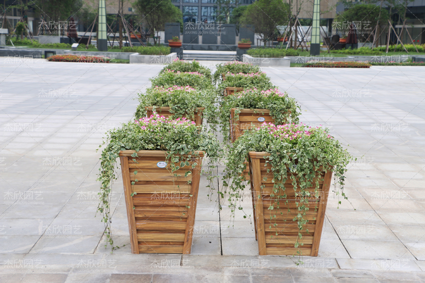 這三種花箱，才能做到免維護(hù)，你選對(duì)了嗎？