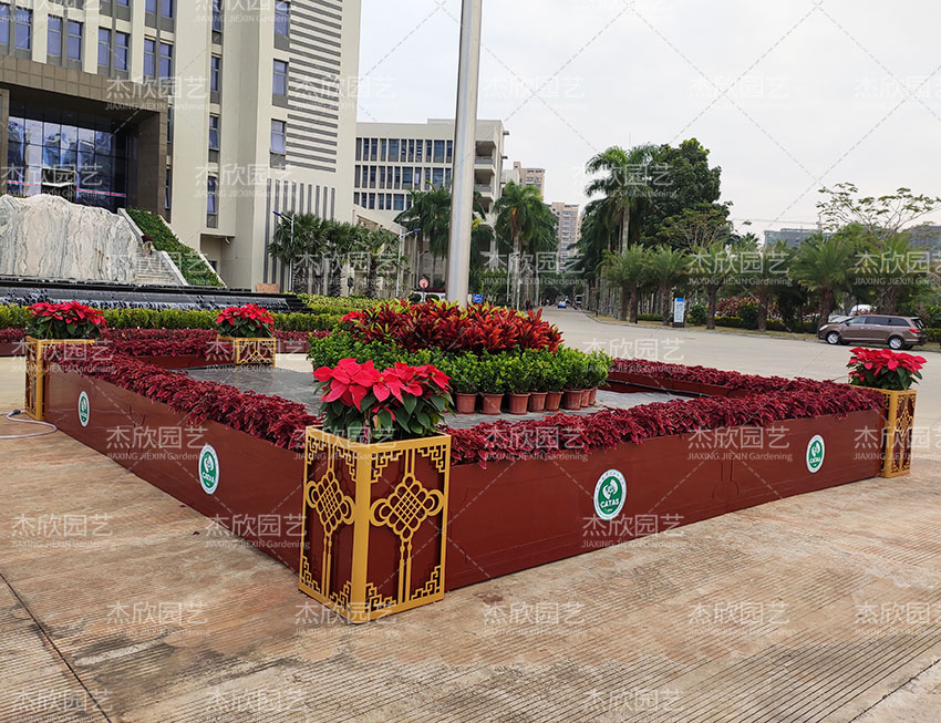 杰欣花箱全國(guó)游！