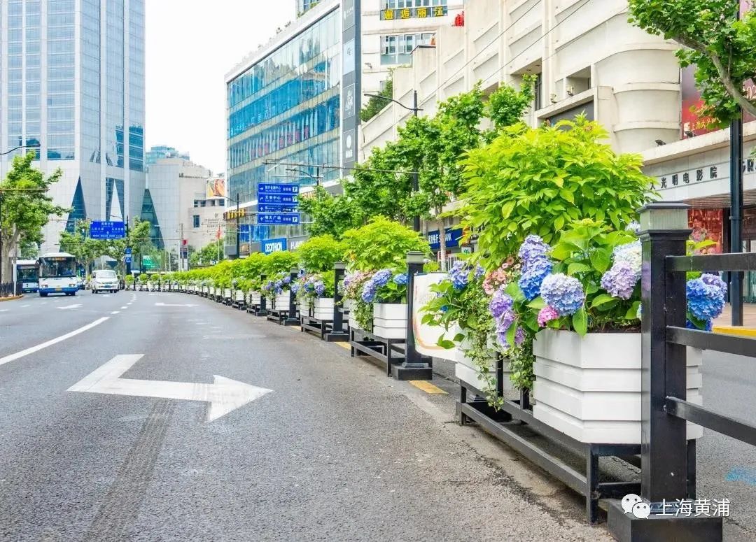 上?；ㄏ浠ɑ軜?biāo)桿作品效果展示