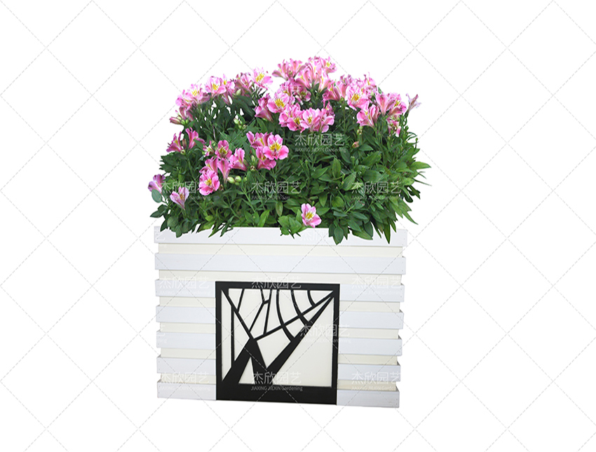 組合花箱中有哪些創(chuàng)意款式？