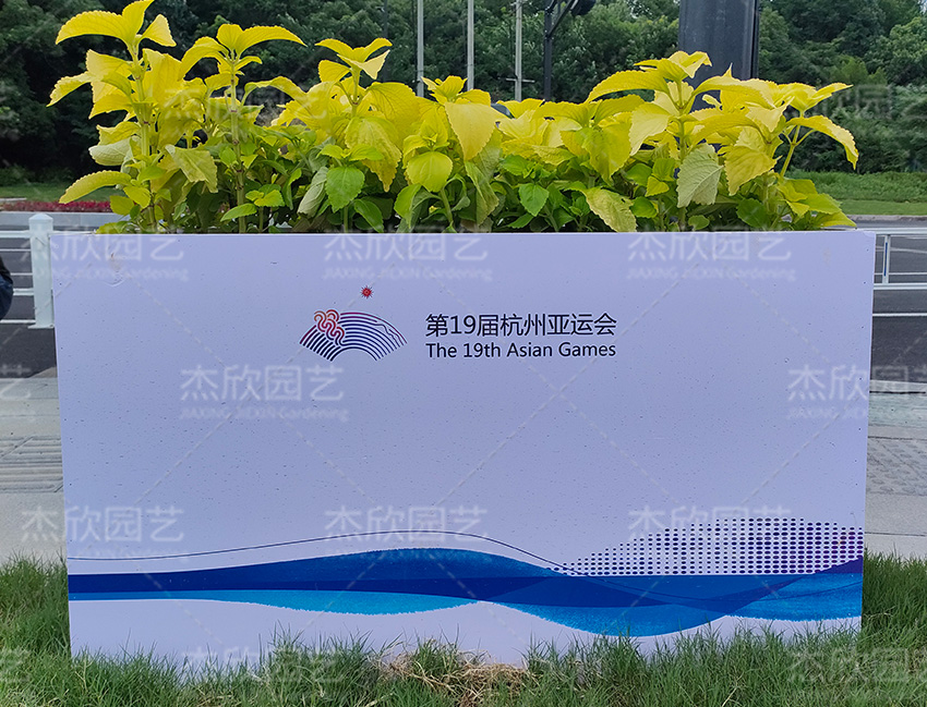 亞運核心圖形花箱潤澤花箱