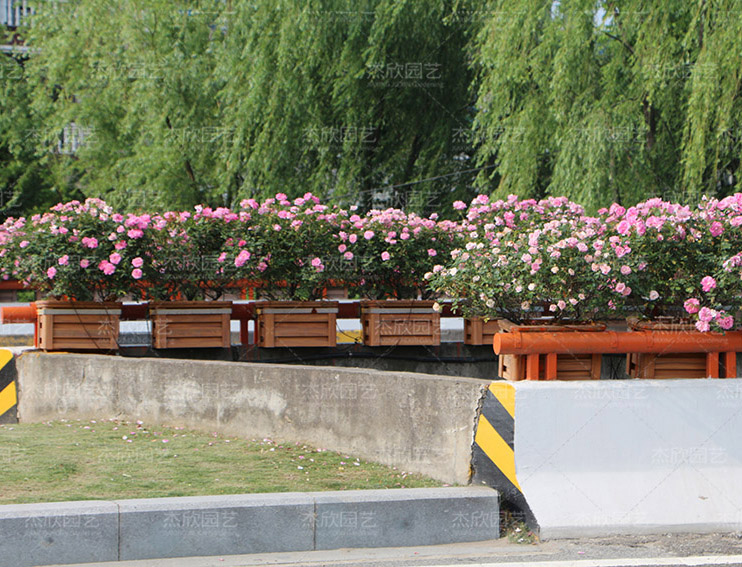 不銹鋼花箱有哪些功能？